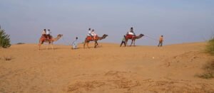 The Timeless Splendour of Heritage Train Travel in India on the Maharajas’ Express